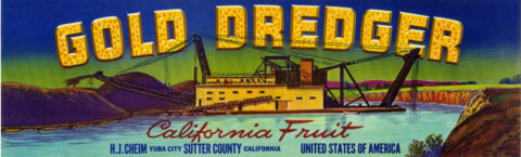 Gold Dredger